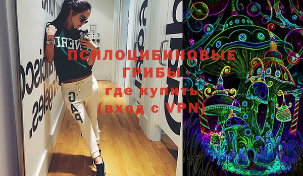 apvp Балахна